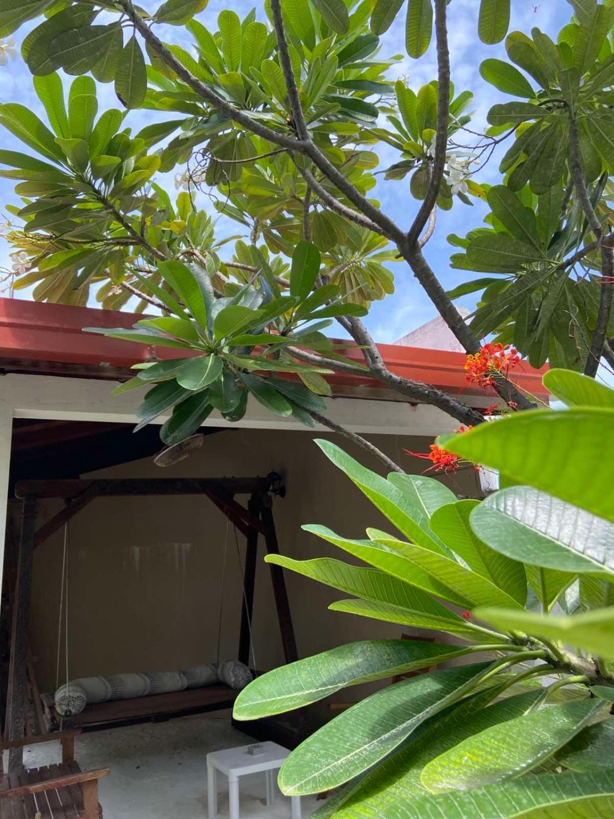 Cerulean View Residence Hanimaadhoo Island Kültér fotó
